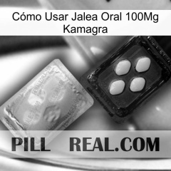 Cómo Usar Jalea Oral 100Mg Kamagra 37